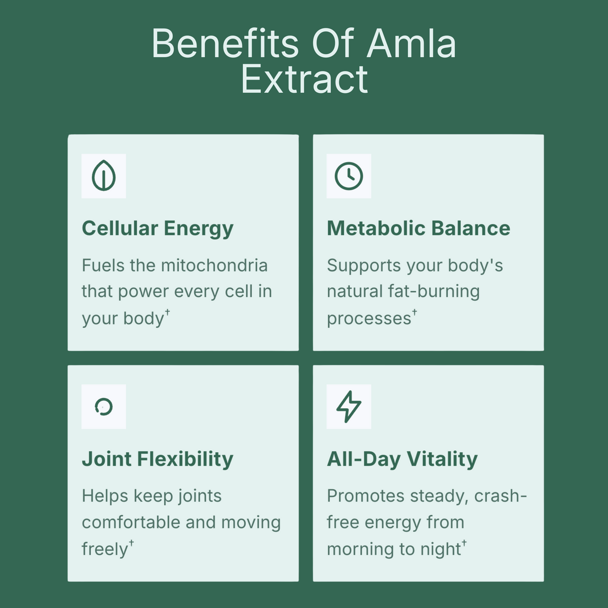 Amla Superfruit Extract