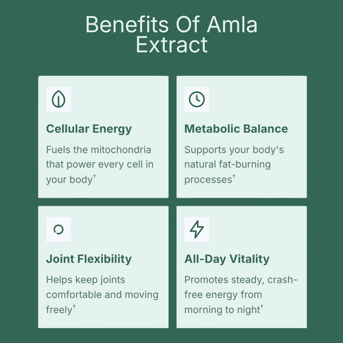 Amla Superfruit Extract